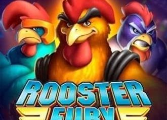 rooster-fury